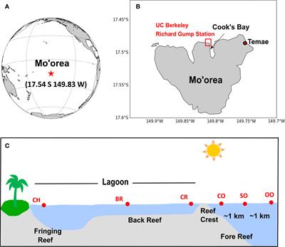 Concentrations, sources, and biological consumption of acrylate and DMSP in the tropical Pacific and coral reef ecosystem in Mo’orea, French Polynesia